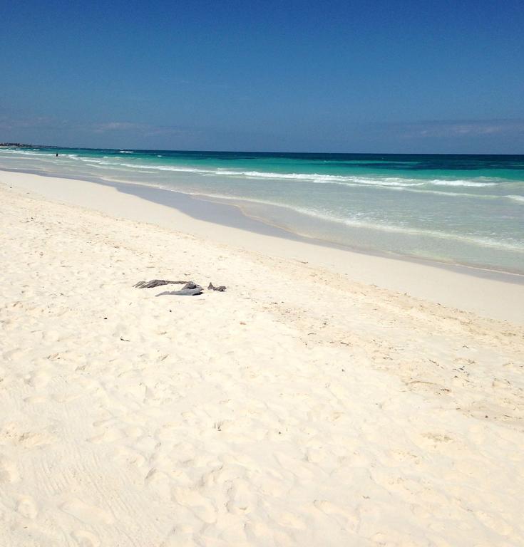 Cabanas La Eufemia Tulum Eksteriør billede